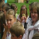 Holundertag   05